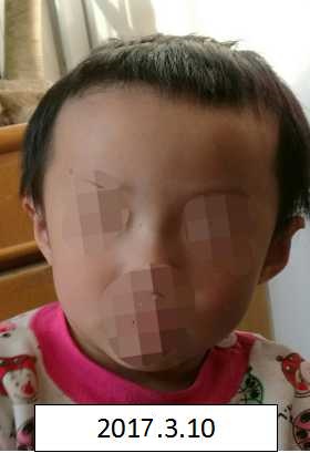 免费日比视频